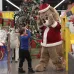 CONGRATULATIONS from the Bear in Kharkov "Santa Claus"