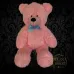 Plush Pink Teddy Bear