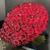 201 Red Rose 70cm